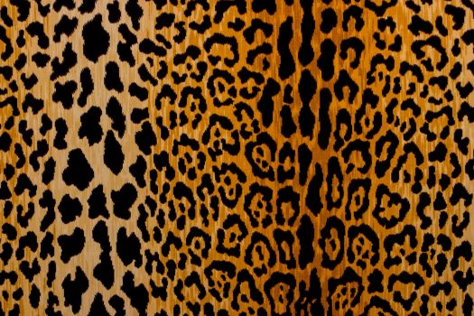 Braemore Jamil Natural Leopard Print Velvet