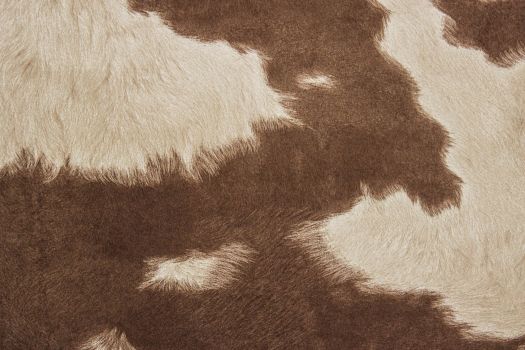 Brown Cowhide Fabric by The Yard Western Black White Cow Print Upholstery  Fabric for Chairs Bull Cattle Animal Fur Decorative Fabric Rustic Farmhouse