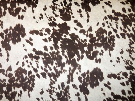 Udder Madness Black Fabric Remnant. Faux Cowhide Fabric Squares. Choose  from 6, 7,8 or 10 Squares.