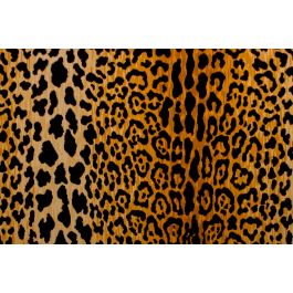 Leopard Print Fabric Image & Photo (Free Trial)
